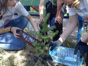 ������� -����� ���������� ������ ����