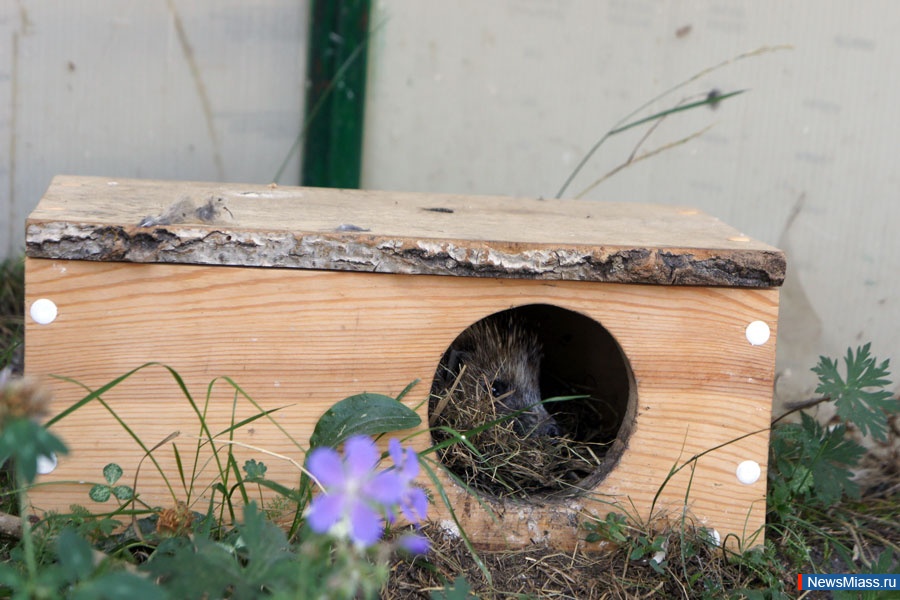 " "   .    " "    "",       