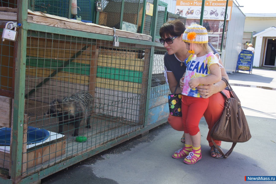 " "   .    " "    "",       