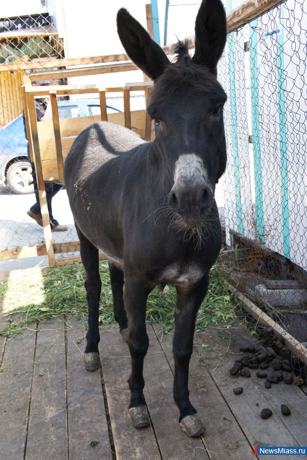 " "   .    " "    "",       