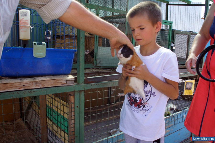 " "   .    " "    "",       