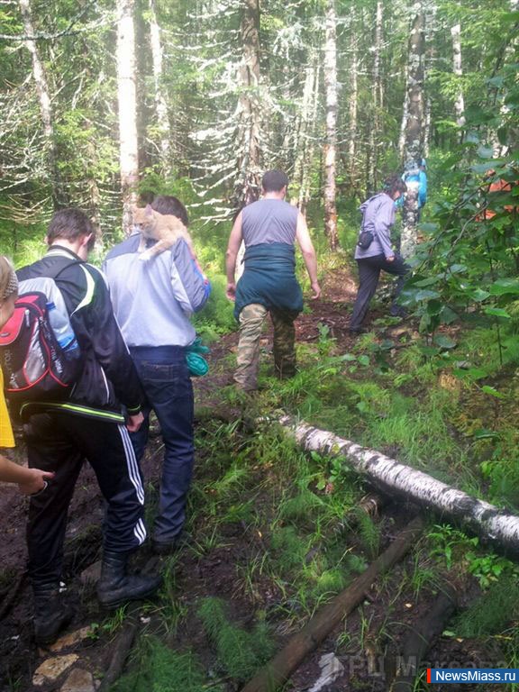    .   II     " -  "     " "