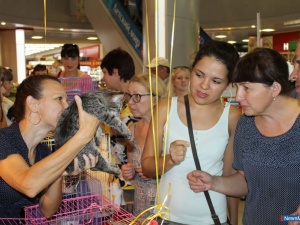 �������� ���� ������