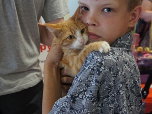 �������� ���� ������