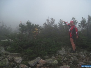 �������� ���������� �� ��������