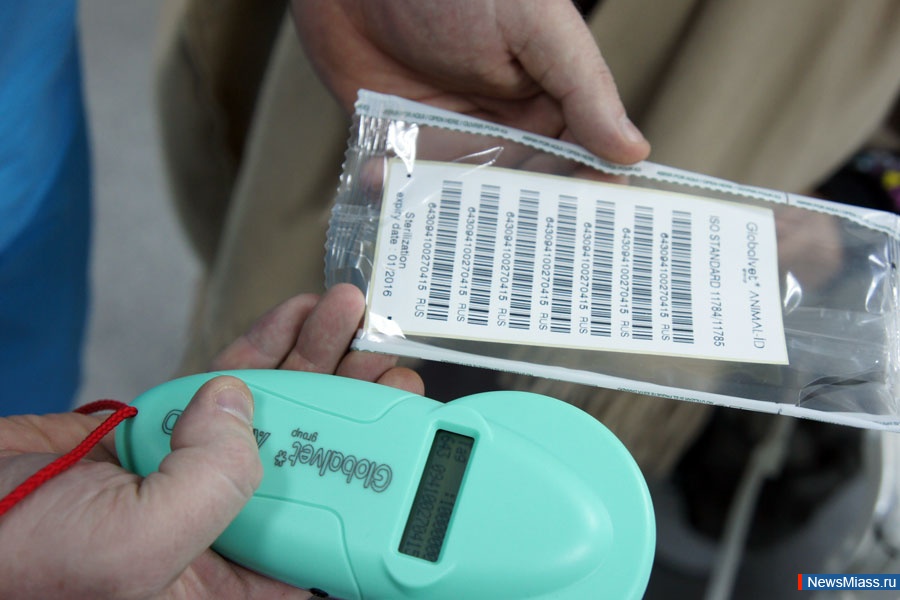   - .       :      " "