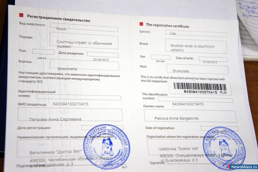   - .       :      " "