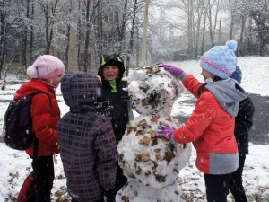 "���������" �������