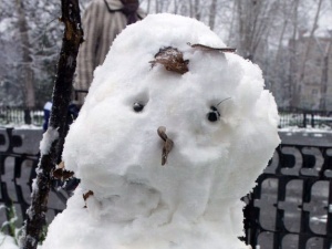 "���������" �������