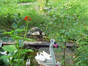 � ������ - ������