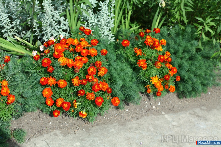   - .      " -2013",  240- 