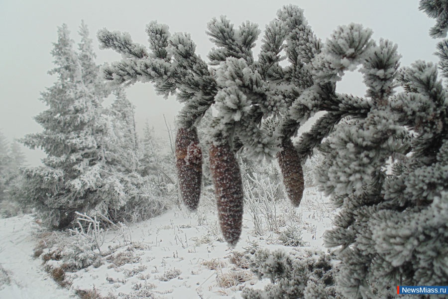  -  .  " "      ,       ""