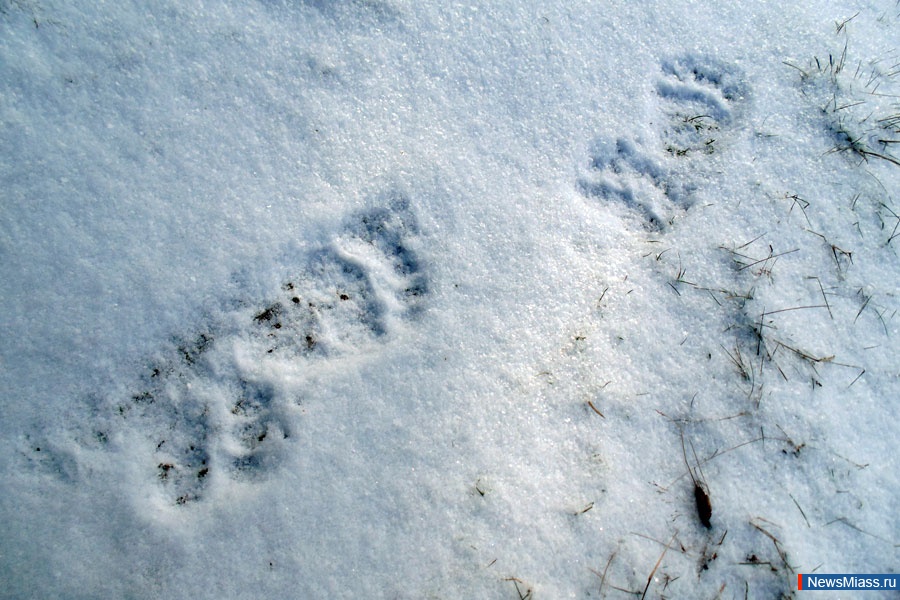  -  .  " "      ,       ""