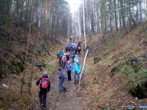 ������ ���������� "��������"