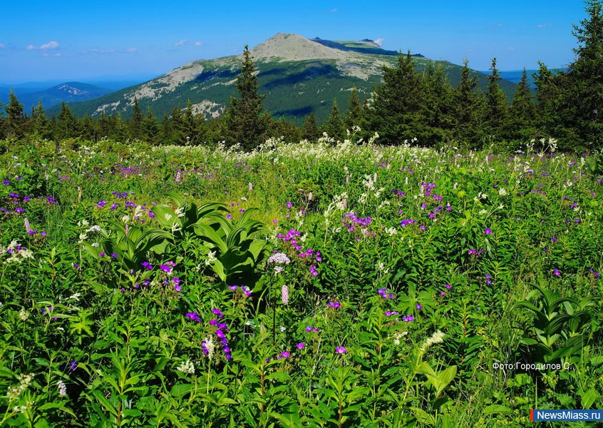  .  " ",  20-   "",   -    