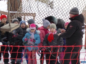 ������������� ���������