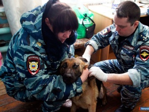 ������� ������� "��������"