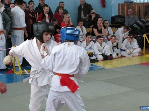 ������ ���������