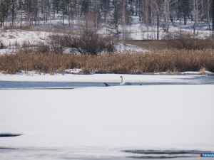 ������ ���������!