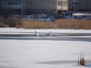 ������ ���������!