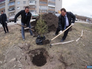 ������ ������