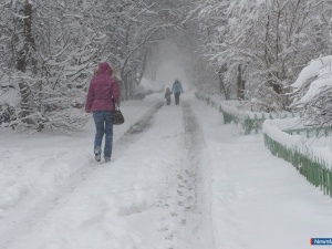 ������ ������ "���������" ������