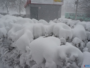 ������ ������ "���������" ������