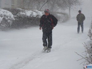 ������ ������ "���������" ������