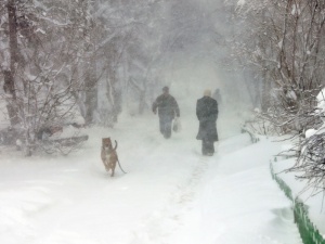 ��������� �������������� ��������