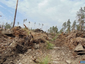 ����� "���� ���"