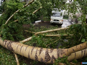 ����� ������������� � ���������