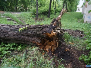 ����� ������������� � ���������