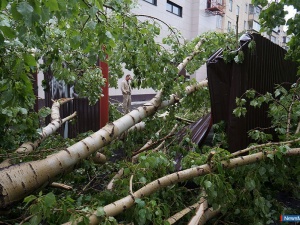 ����� ������������� � ���������