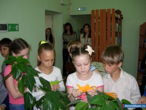 �������������� ���� ��������� � ������