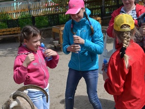 �������� ������ ������ �������