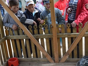 �������� ������ ������ �������