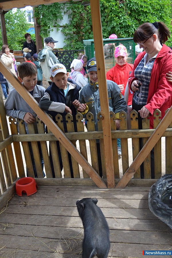 �������� ������ ������ �������. �������� ��� ������ ����� ���������� ��� "�����" ����������� ������� ��� ������������� �����-��������� � ���������� �����