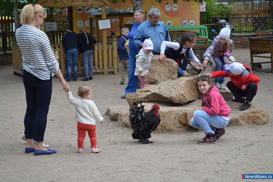 �������� ������ ������ �������. �������� ��� ������ ����� ���������� ��� "�����" ����������� ������� ��� ������������� �����-��������� � ���������� �����