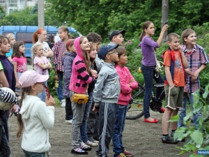 ������� ���������� ������� �������� ���������