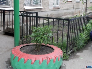 ������� ���� ������