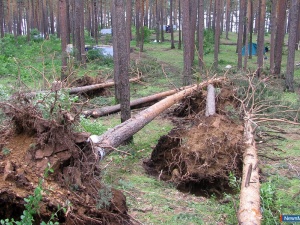 ����� �� - ���������