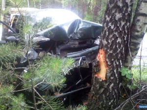 �������� "������������" ����������