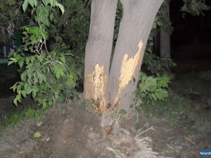 ���������� �����������, �������� �����