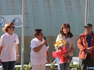 Регата стартовала Регата стартовала