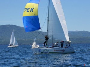 ������ ����������