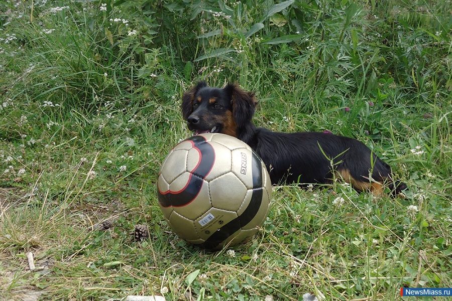 ��������� �������� �����. ���� - ������� ���� � ������������ �� �������� ������� ����� ������ ������� ���������� ����