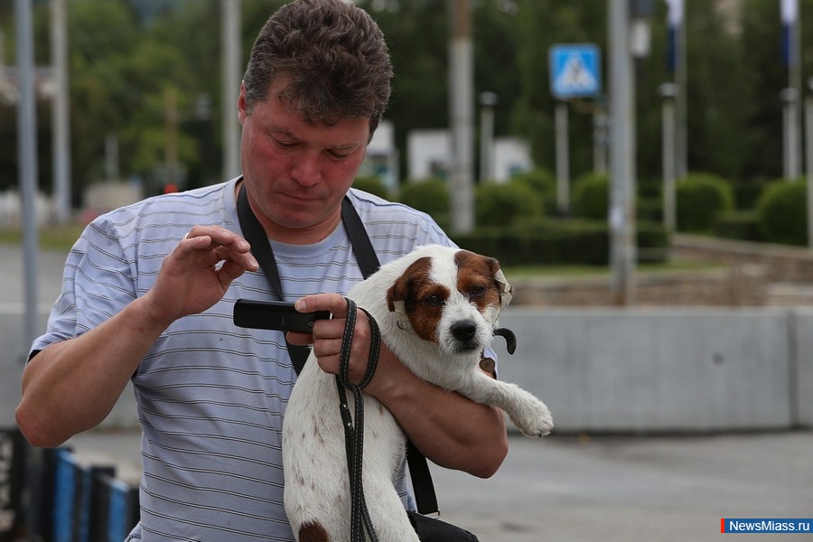 70    .  ,   70-     ,    