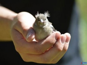 ������� ������ � ������ ����������