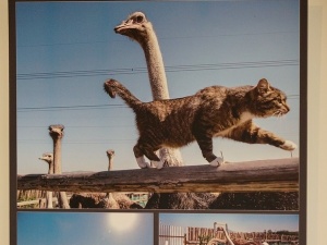 ������� � ����� ������ �������������