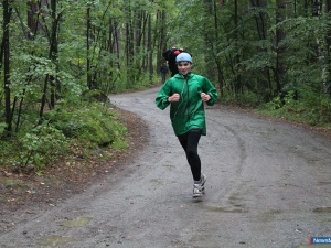 ������ ����������� �� ������